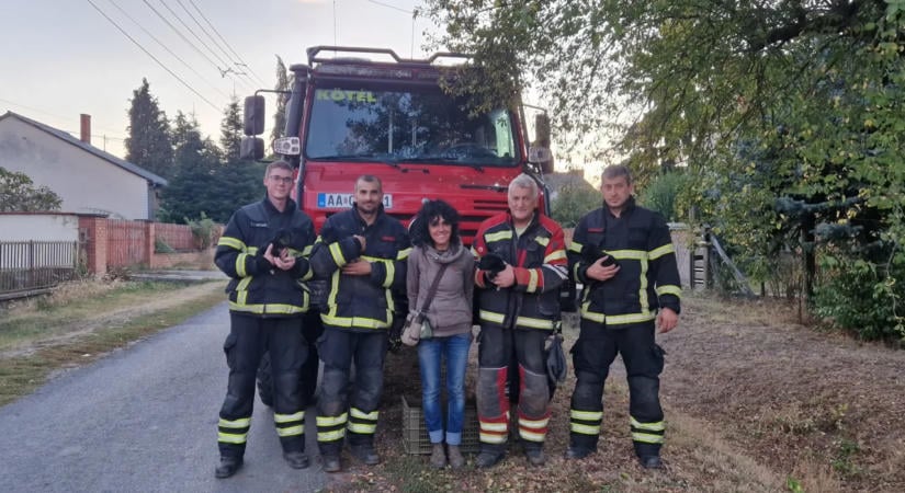Bátéban a betonhíd alól mentették ki a beszorult kiskutyákat az önkéntes tűzoltók
