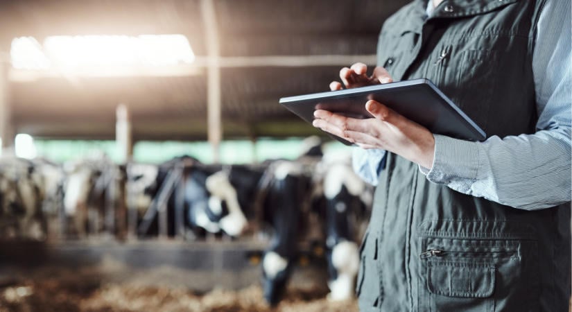 Súlyos milliókat bukhatnak a magyar agrárcégek: erre kevesen készültek fel, jön a hidegzuhany