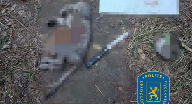 Nagykéssel szúrt le egy macskát a 14 éves fiú: egy online csoporttól vette a példát