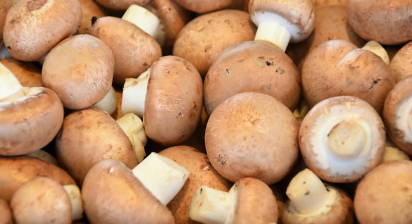 A forgatós trükk segítségével mindig kiválasztható a friss gomba a boltban!