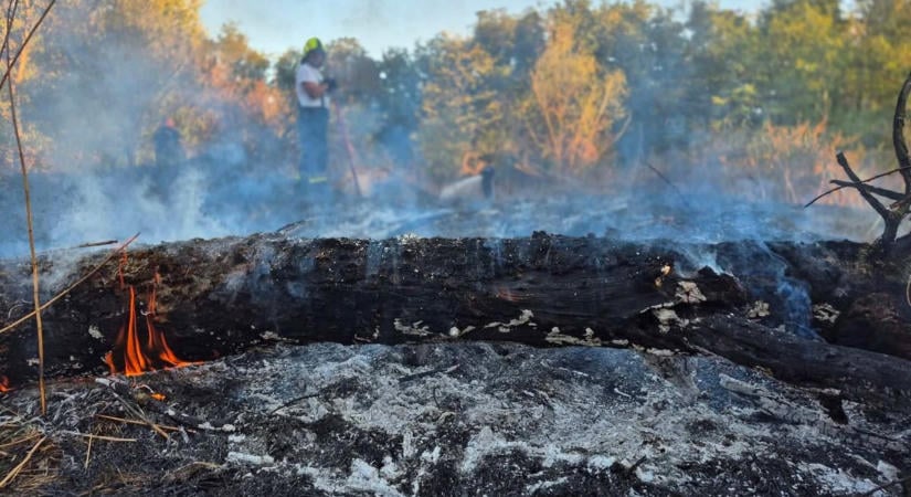 Öt helyen csaptak fel a lángok Dunaföldváron, elfogták a feltételezett gyújtogatót (GALÉRIA)