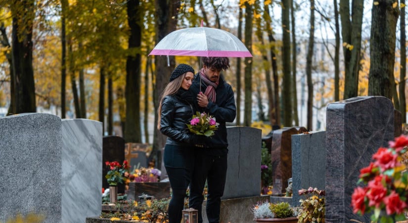 Halottak napján ezekkel a virágokkal nem nyúlsz mellé, jól tűrik a novemberi hideget