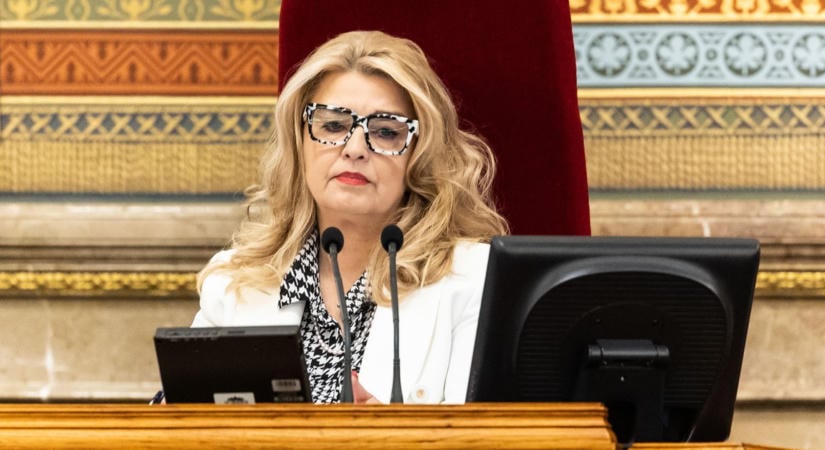 A legkeményebb. Hallerné Nagy Anikó azonnal hatállyal kiküldte őt a Parlamentből. Magyar Péter integetett neki