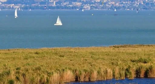 A Fertő-tó partjára nem luxusszálloda és betonrengeteg kell