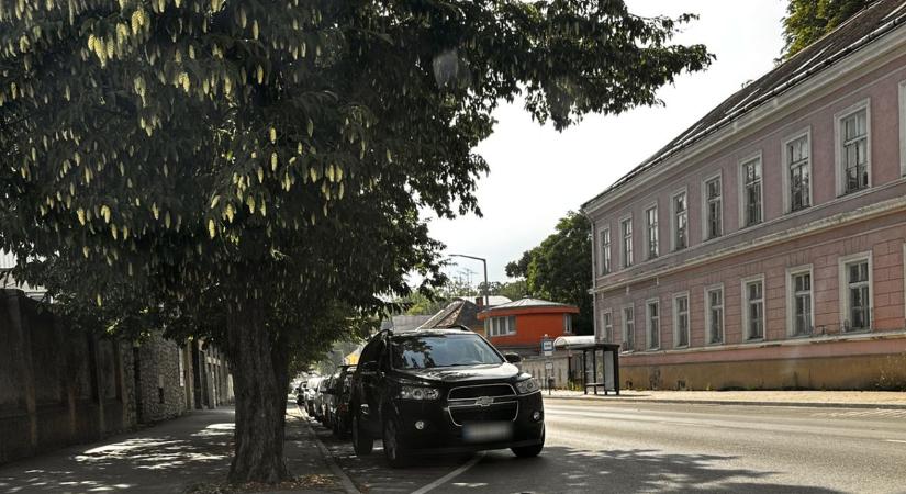 VIP parkolók épültek Kaposváron a Baross Gábor utcában?