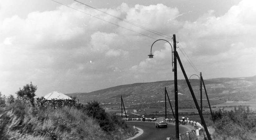És akkor 162. – Görények