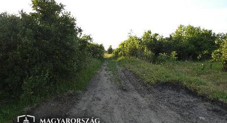Idős, látássérültet bántalmazott és rabolt ki