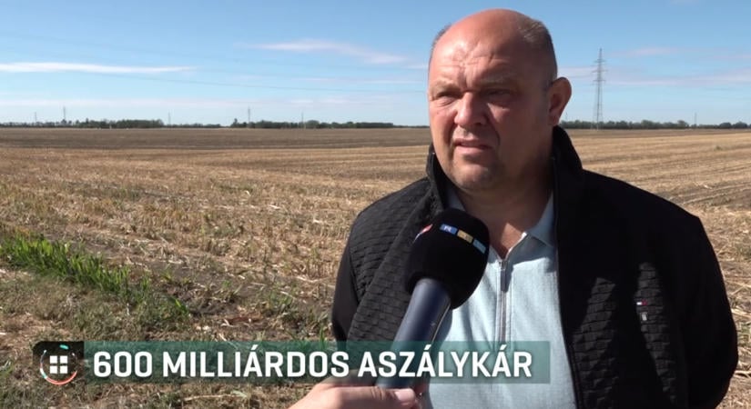 „Egy szikra hasznot nem tudtunk előállítani” – elérheti a 600 milliárdot az idei aszálykár