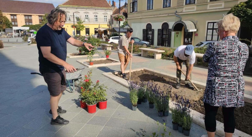 Újra virágos Kőszegen a Jézus Szíve templom előtti tér