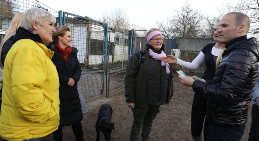 Helyszíni videó: szeretett állatvédő szenvedett balesetet Tatabányán