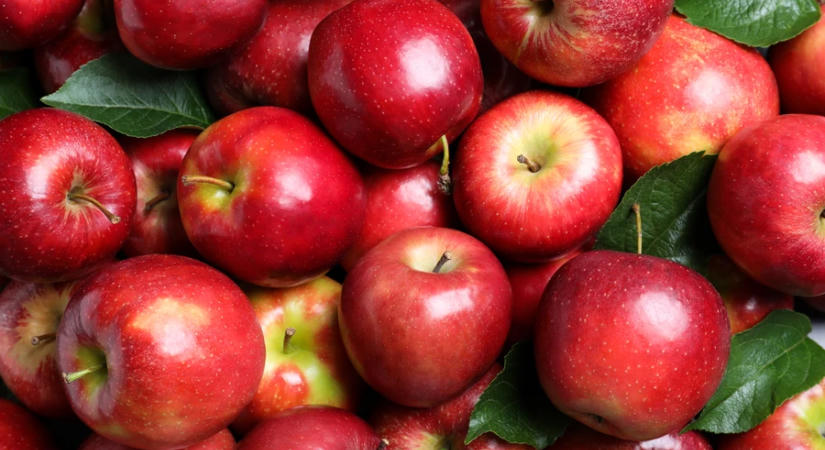 FruitVeB: az elmúlt fél évszázad leggyengébb almatermése várható idén