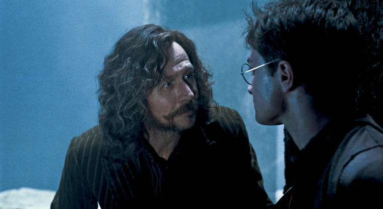 Gary Oldman szerint a Harry Potter-sorozat jobban kielégíti a rajongókat, mint a filmek