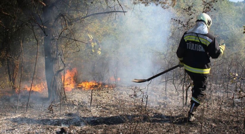 Hatalmas tűz Borsodban: Három város tűzoltói küzdöttek a lángokkal