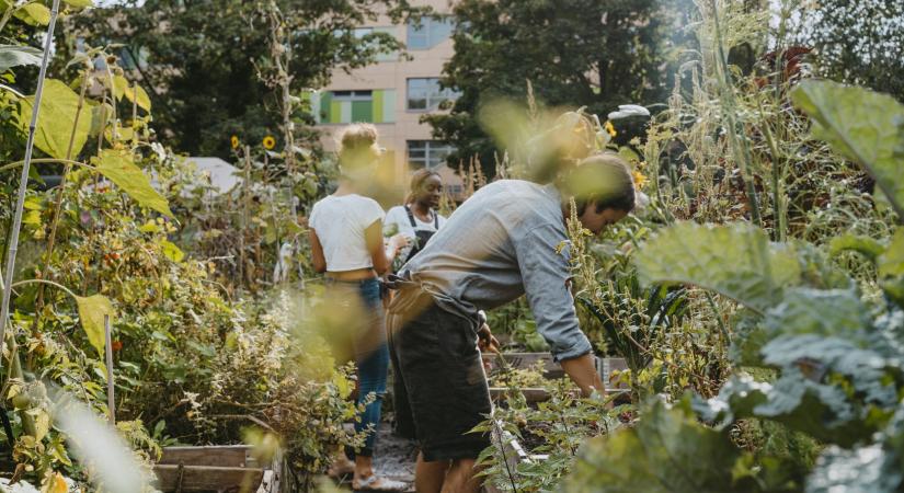 Ha ezt a hobbit választod, sokat tehetsz a szorongás és a stressz csökkentéséért