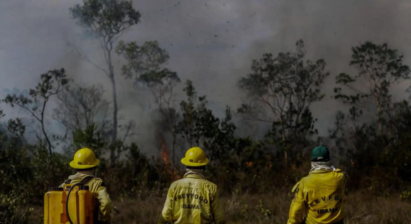 „Godzilla El Niño” sújthatja az Amazonas esőerdejét