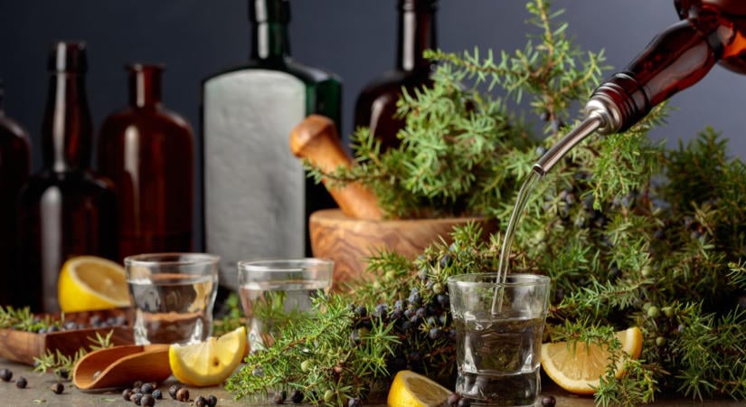 A gin és meglepő barátai – 7 tipp túl a gin-tonikon és a Negronin