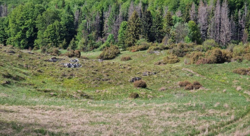 Újabb fagyos reggel a Bükk-fennsíkon: mínusz 5,4 fokot mértek