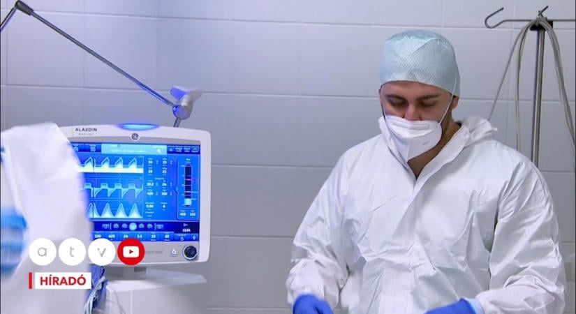 Már 61 halálos áldozat: a nyugat-nílusi láz már Csongrád-Csanádban is felbukkant