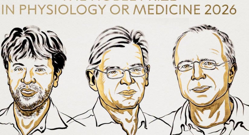 Az agykutatást forradalmasító optogenetikai felfedezésekért adják az idei orvosi-élettani Nobel-díjat