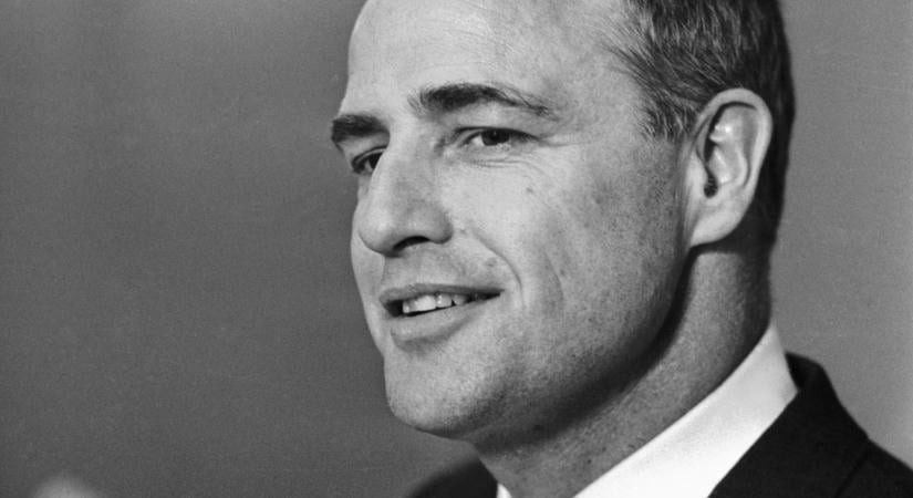 Brando, Elvis és Camus: 1956 különös kapcsolódásai a művészettel