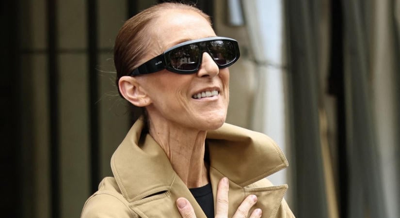 Céline Dion hatalmasat esett koncert közben: a rajongók megijedtek - Videó