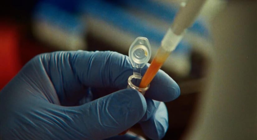 A Claude önállóan fedezett fel egy CRISPR-szerű enzimrendszert