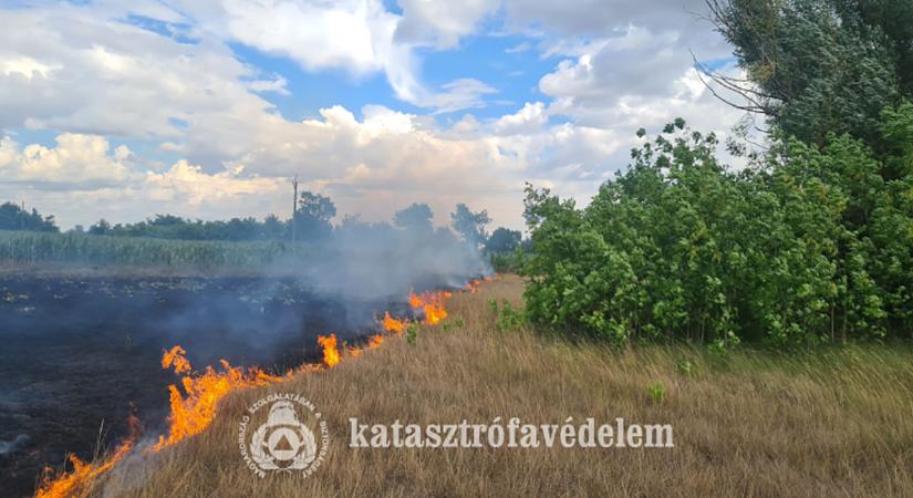 Három hektáron égett a száraz fű Gyula külterületén