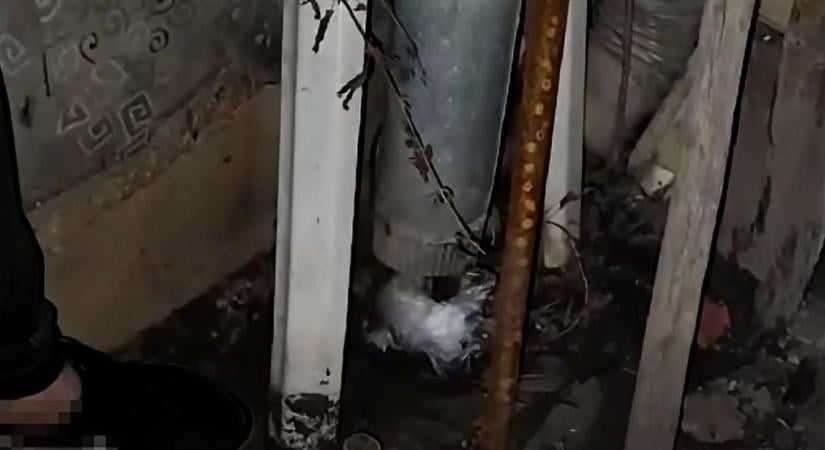 Óriási rendőrségi akció Szabolcsban! Gyanús anyagot rejtett az ereszcsatorna – videóval