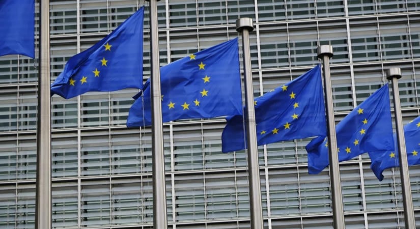Jogellenesnek minősítette az Európa Tanács Ratko Mladić dicsőítését
