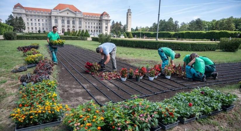 Szépül az Egyetem tér, már csobog a szökőkút is