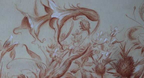 Megnyílt az Életművelők: A tudás melegágyai című nemzetközi kiállítás a debreceni MODEM-ben