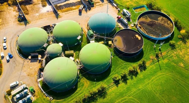 Biogazdaság: óriási globális összefogásról döntöttek Dublinban