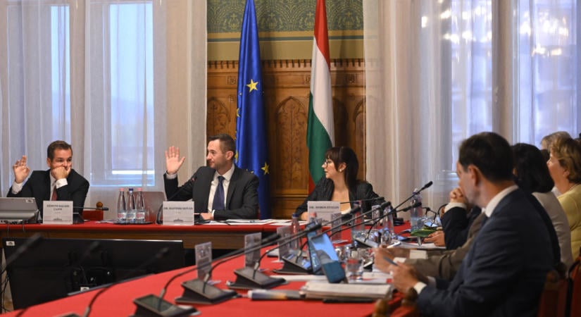 Itt a névsor, több jelölt közül kell választania a tiszás többségnek a kulcsfontosságú pozícióra
