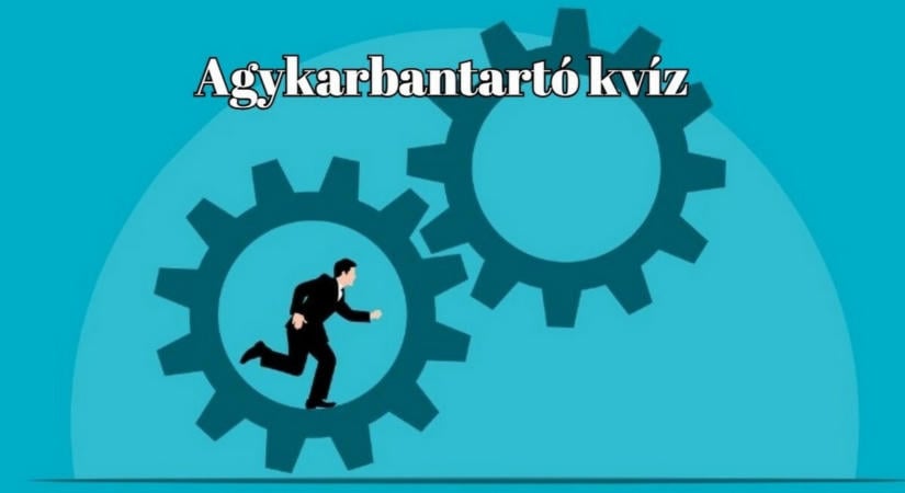Friss észpörgető kvíz - Lehet, hogy te leszel az, akinek ez is hibátlan lesz?