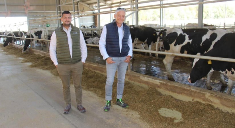 Hogyan értek el 44 kg fejési átlagot a tejtermelésben?