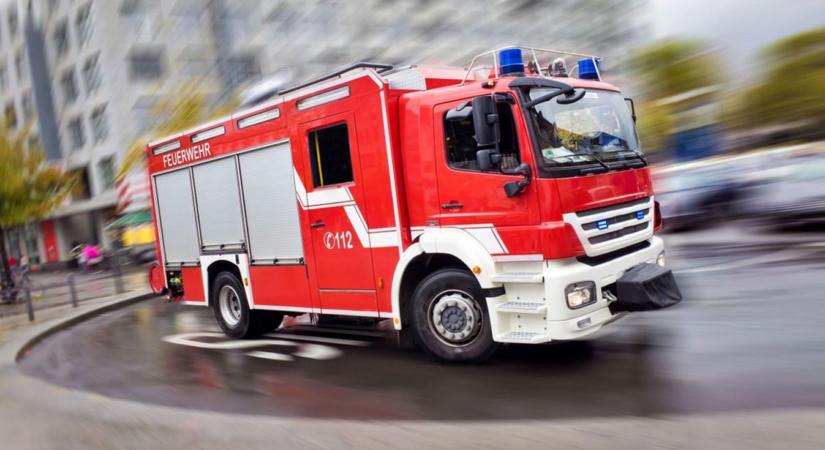 Kidőlt fa miatt akadozott a forgalom Zalában