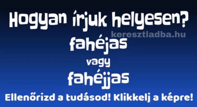 Helyesírás feladat: fahéjas csiga vagy fahéjjas csiga?