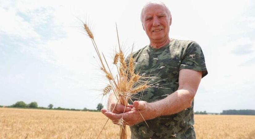 A kormány új agrárkamarai választási szabályokat készíttet elő