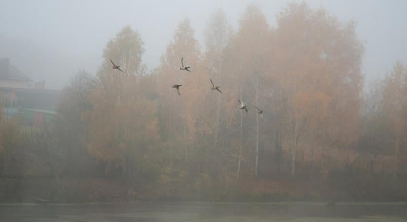3 napos időjárás: vacogós hajnalok, pólós nappalok