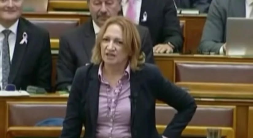 Üvöltözött a parlamentben a tiszás Bujdosó Andrea