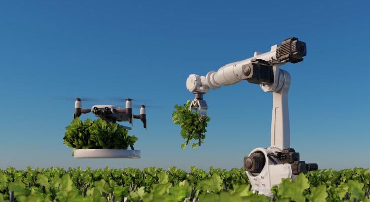 Használt robotok a mezőgazdaságban: olcsóbb vétel, nagyobb kockázat