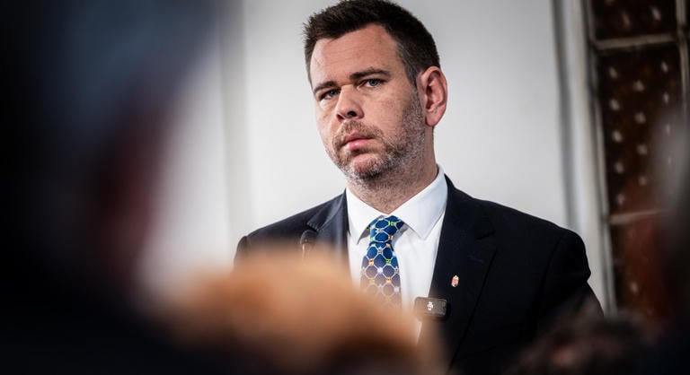 Vitézy Dávid leállította Zuglóban a fakivágást, teljes felülvizsgálatot rendelt el