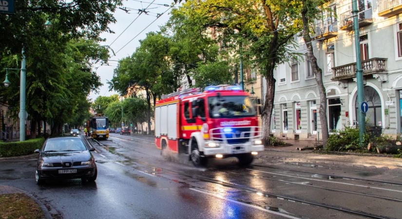 Egymást érték a riasztások: több helyen is felcsaptak a lángok