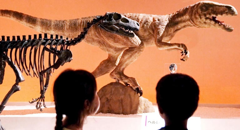 Interaktív térképen nézhetjük meg, hol volt az otthonunk a dinoszauruszok korában