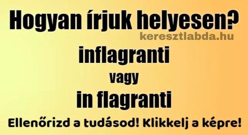 Helyesírás feladat: „Inflagranti” vagy „in flagranti” – melyik a helyes?