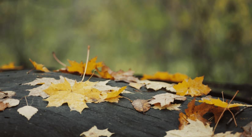 Szeptember 23-án kezdődik a csillagászati ősz – de a nappal és az éjszaka mégsem teljesen egyforma