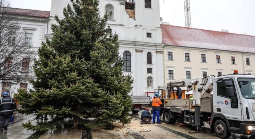 Épp csak megjött az ősz, de a Győr-Szol már a karácsony felé kacsingat