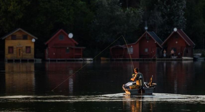 Elképesztő fogások a tatai Derítő-tónál: 21 kilós ponty is horogra akadt!
