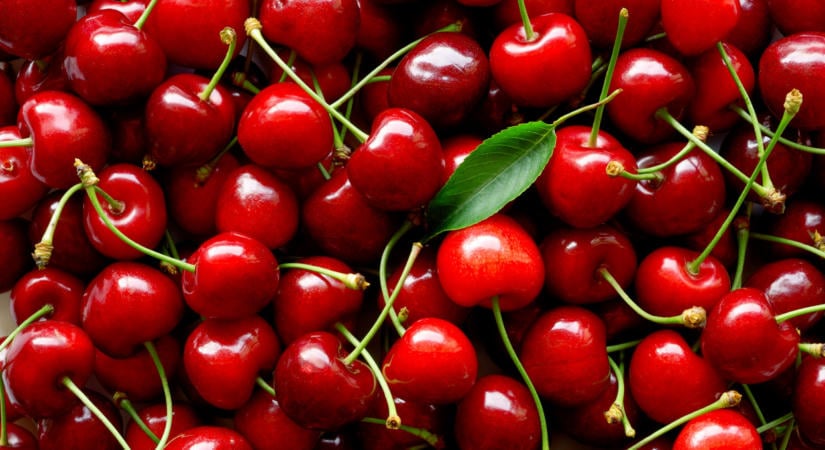 Őrületes hírek érkeztek Németországból: sok termelő örülhet idén