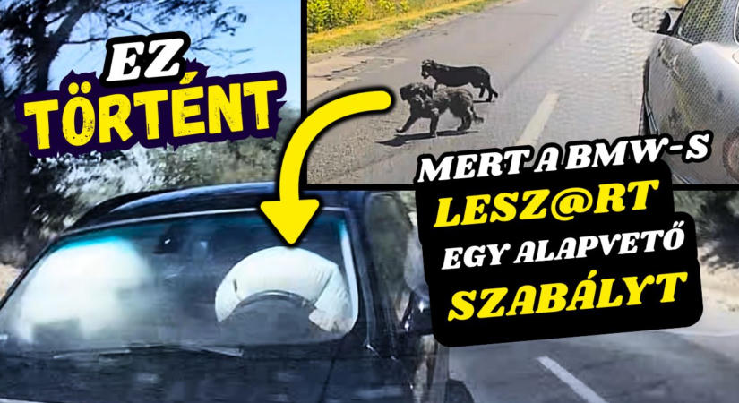 Ez történt, mert a BMW-s lesz@rt egy alapvető szabályt